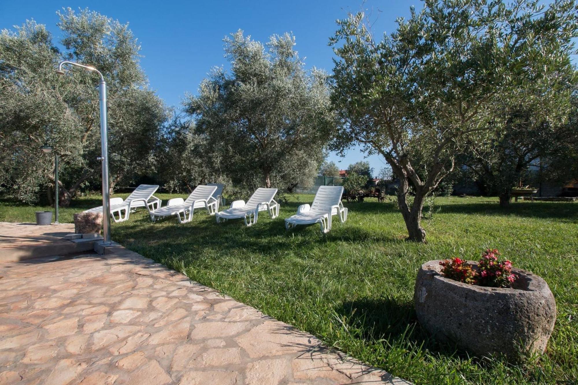 Marceta - Apartments & Rooms With Swimming Pool Fažana Dış mekan fotoğraf